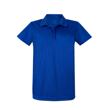 Standard Dry Fit Polo Shirt - Royal Blue